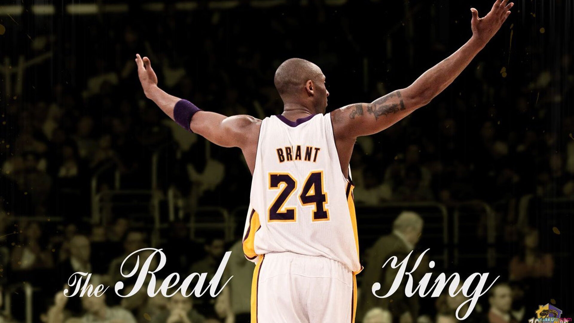 开云电竞入口-传奇教练的战术思想“秘籍”大公开,nba_传奇教练